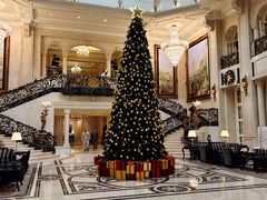 -大堂吧·下午茶·特调鸡尾酒(大连一方城堡豪华精选酒店)