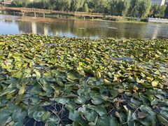 -云龙湖旅游景区