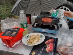 -铁山坪森林公园