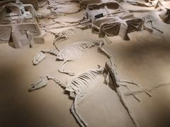 -洛阳周王城天子驾六博物馆