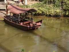 -合肥滨湖国家森林公园