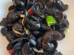 养生小木耳-骏莱海鲜鱼港(五角场店)