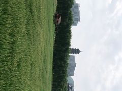 -长兴太湖图影湿地文化园