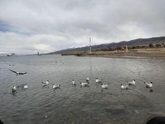 -青海湖二郎剑景区