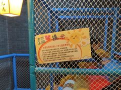 -蜀九鼎毛肚火锅(惠安店)