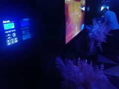 -黑桃K生日订制KTV