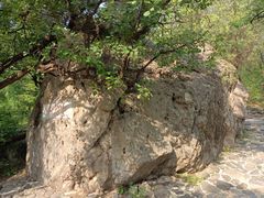 -阳台山自然风景区