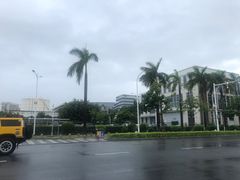 -厦门高崎国际机场-T3航站楼