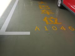 -上海海昌海洋公园-停车场