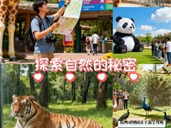 -深圳野生动物园