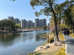 -新江湾城公园