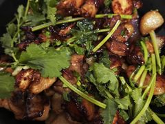 -鹅掂·大岭山烧鹅