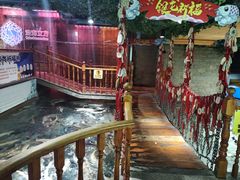 -成都浩海立方海洋公园