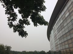 -北京国家会计学院