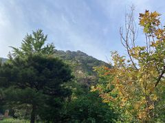 -北京鹫峰国家森林公园