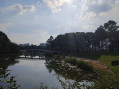 -美兰湖景区