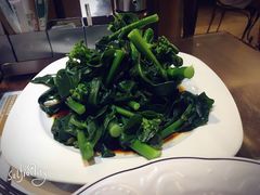 咖喱牛腩饭-翠华餐厅(德辅道中店)