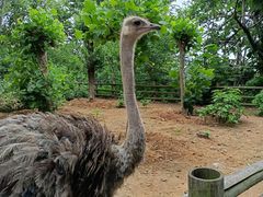 -大连森林动物园