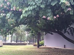 -Club Med地中海俱乐部·桂林度假村