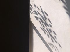 -梵几(东信·和创园店)