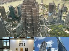 -上海柏悦酒店
