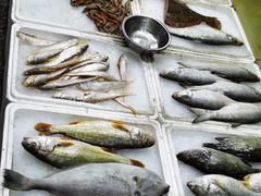 -龙宫海鲜楼(长乐漳港店)