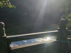 -水濂山森林公园