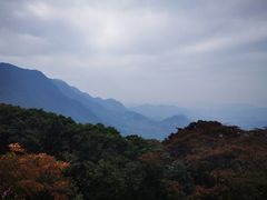 -广州市石门国家森林公园