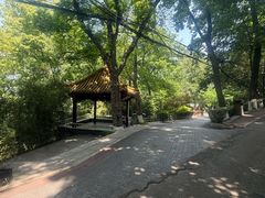 -北极阁公园