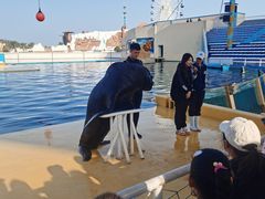 -秦皇岛乐岛海洋王国