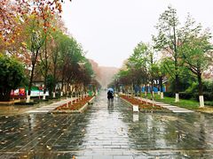 景点-解放公园