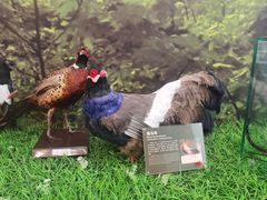 -房山世界地质公园博物馆