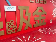 -奥体中心(地铁站)