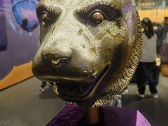 -广西壮族自治区博物馆