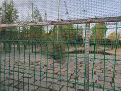 -羊亭河湿地公园