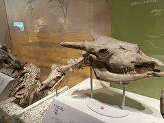 -国家自然博物馆