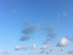 -日照君临天下大酒店
