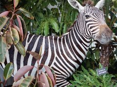 -中国天府农业博览园