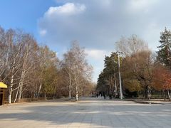 -黑龙江省森林植物园