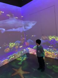 -小鸡哆哆故事屋·儿童乐园(嘉里城店)