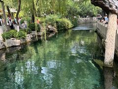 -趵突泉景区