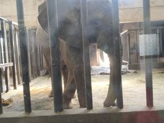 -石家庄市动物园