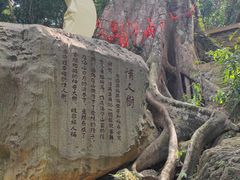 -七仙岭温泉国家森林公园
