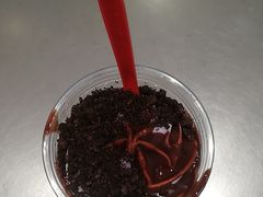 -蜜雪冰城(学苑街理工e家店)