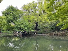 -惠山古镇·寄畅园