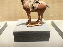 -西安大兴善寺