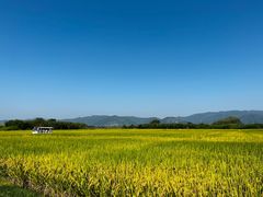 -良渚古城遗址公园
