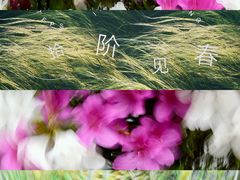 -龙湖重庆时代天街