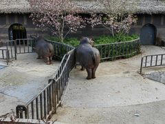 -济南野生动物世界