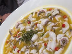 -青花椒花椒鱼(合生汇店)